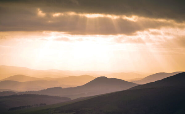 ภาพขนาดย่อ